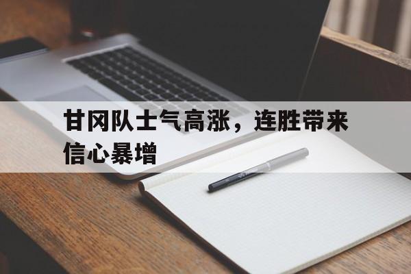 乐动·LDSports(中国)体育官网-甘冈队士气高涨，连胜带来信心暴增
